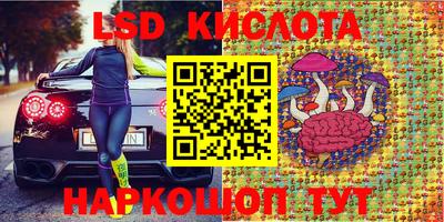 гидропоника Кингисепп
